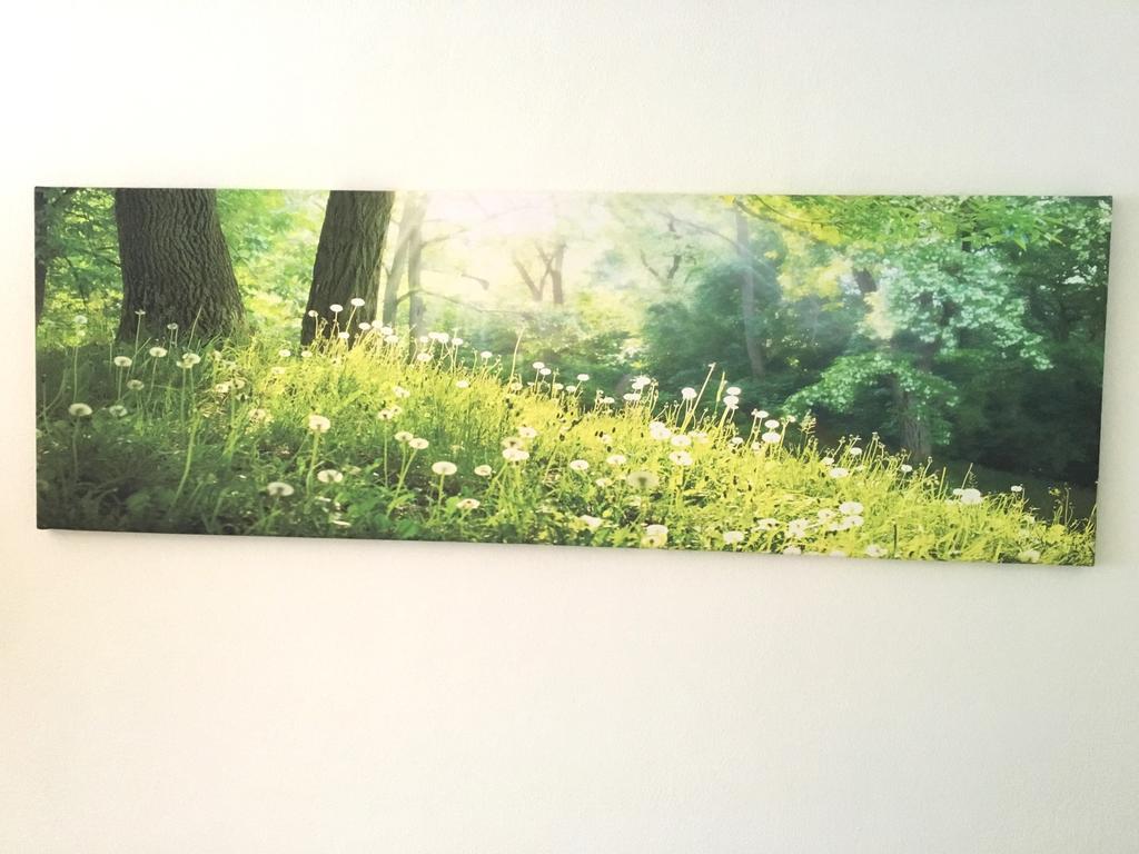 Apartment Flowerside Regensburg Exterior photo